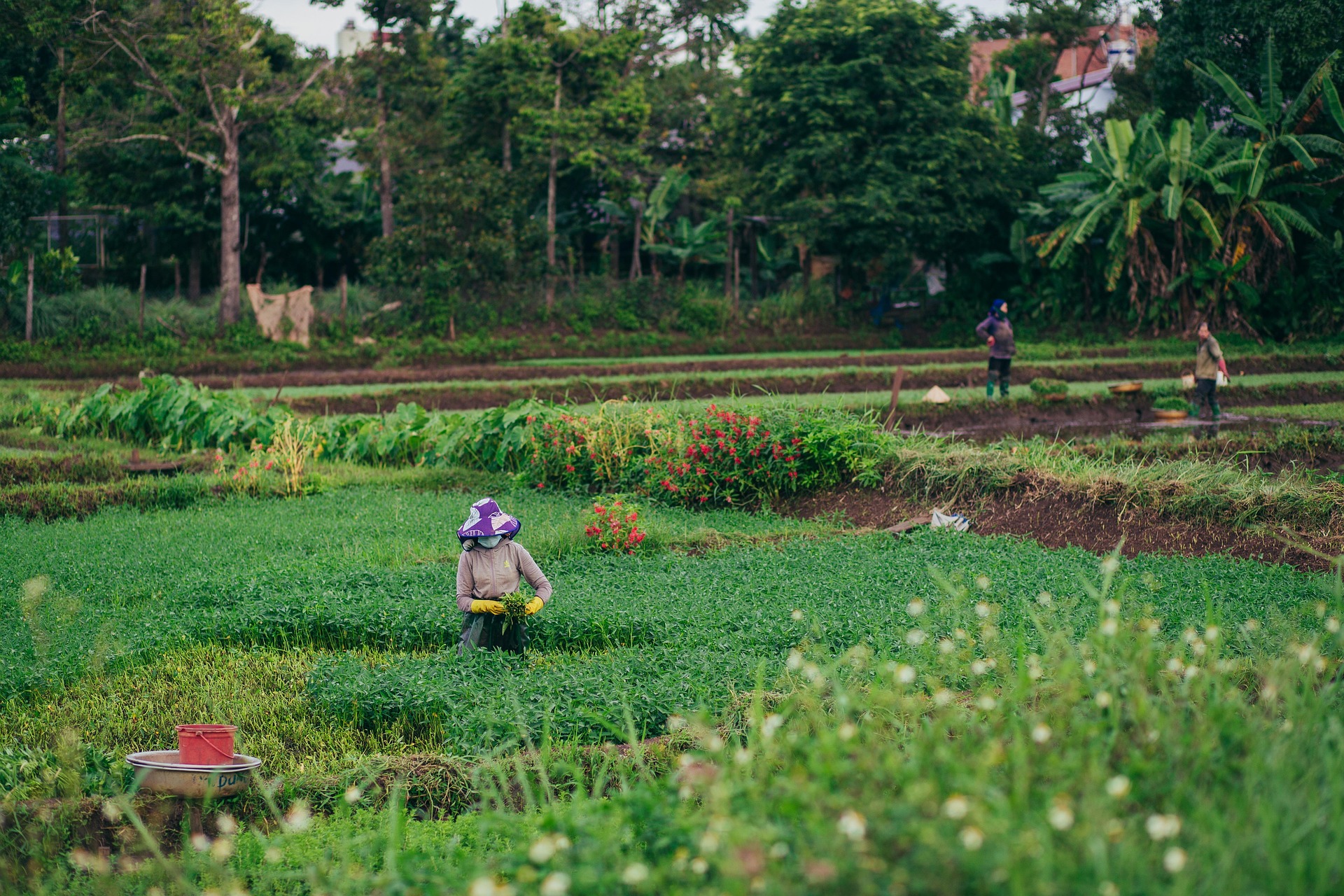 KADASTRO YOLU OLAN KÖYE YAKIN SATILIK TARLA