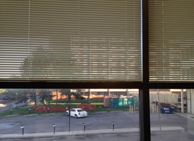 devilsapricot-office-248888_1920.jpg