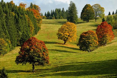 couleur-fall-2800880_1920.jpg