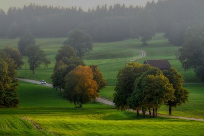 fietzfotos-nature-6620939_1920.jpg