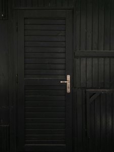 pexels-enginakyurt-16953713.jpg