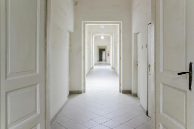 pexels-stitch-20075995.jpg