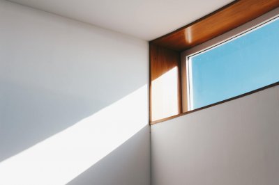 pexels-joaojesusdesign-921294.jpg